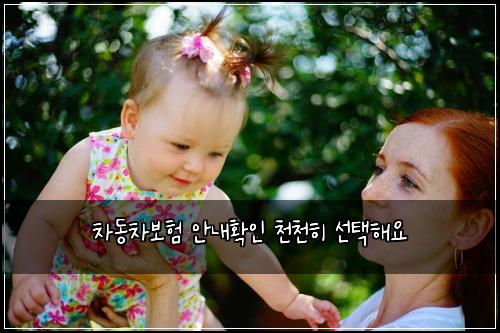 차동차보험 안내확인  천천히 선택해요