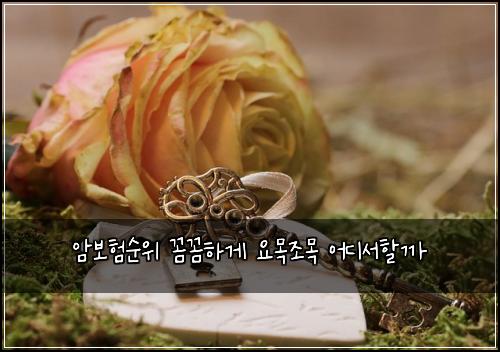 ์๋ณดํ์์ ๊ผผ๊ผผํ๊ฒ ์๋ชฉ์กฐ๋ชฉ ์ด๋์ํ ๊น