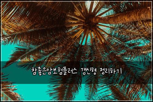 참좋은암보험플러스 갱신형 정리하기