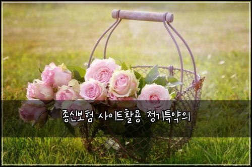 ์ข
์ ๋ณดํ ์ฌ์ดํธํ์ฉ ์ ๊ธฐํน์ฝ์