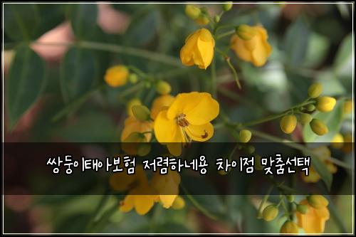 μλ₯μ΄νμ보ν μ λ ΄νλ€μ© μ°¨μ΄μ λ§μΆ€μ ν