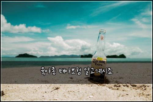 ์ก์์ข
ํ์๋ณดํ ์๊ณ ๊ณ์์ฃ