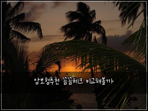 ์๋ณดํ์ถ์ฒ ๊ผผ๊ผผ์ฒดํฌ ๋น๊ตํด๋ณผ๊น