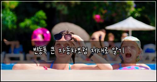 변동폭 큰 자동차보험 제대로 알기