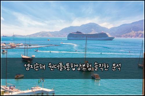 엠지손해 원더플s통합암보험 솔직한 분석