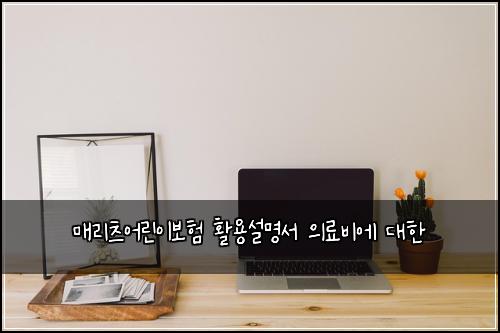 매리츠어린이보험 활용설명서  의료비에 대한