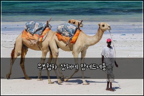 ๋ฌด๋ณดํ์ฐจ ์ํด์ ๋ง์๋๋ค์ฉ