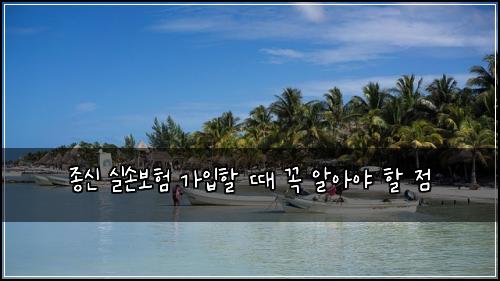 종신 실손보험 가입할 때 꼭 알아야 할 점