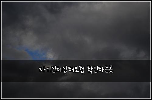 자기신체상해보험 확인하는곳 