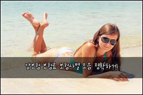 μ보ν 보νλ£ λ³΄νμ¬λ³ λͺ¨μ μ‘ννκ²