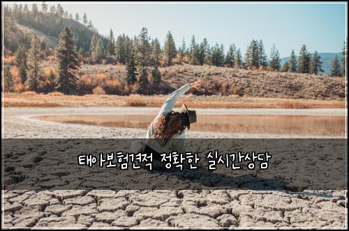 태아보험견적 정확한 실시간상담