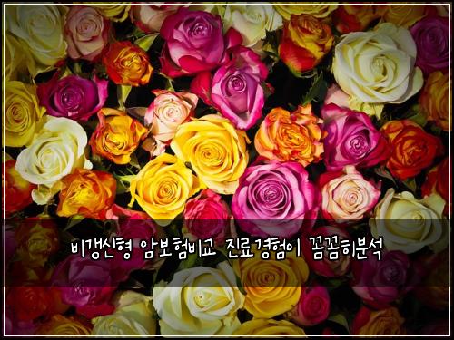 ๋น๊ฐฑ์ ํ ์๋ณดํ๋น๊ต ์ง๋ฃ๊ฒฝํ์ด ๊ผผ๊ผผํ๋ถ์