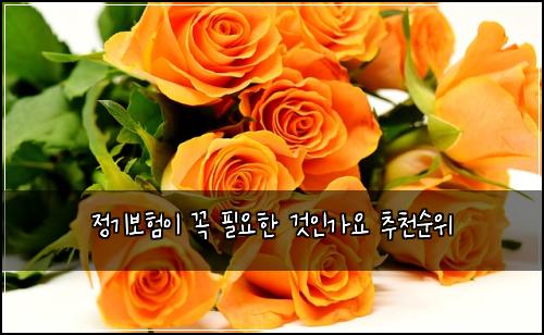 정기보험이 꼭 필요한 것인가요 추천순위