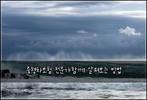 중형차보험 전문가함께  살펴보는 방법