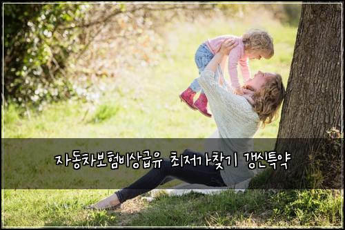 자동차보험비상급유 최저가찾기 갱신특약