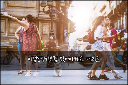 비갱신정기보험 있어야해요  메리츠