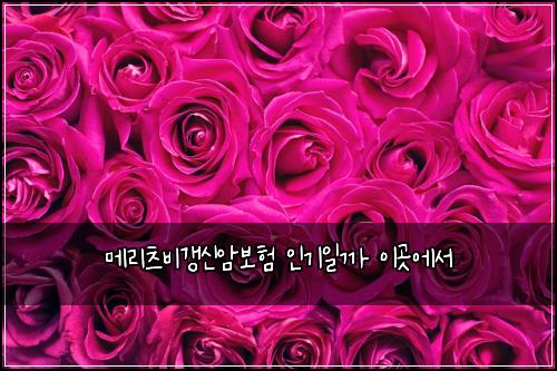 ๋ฉ๋ฆฌ์ธ ๋น๊ฐฑ์ ์๋ณดํ ์ธ๊ธฐ์ผ๊น ์ด๊ณณ์์