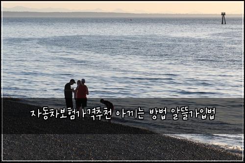์๋์ฐจ๋ณดํ๊ฐ๊ฒฉ์ถ์ฒ ์๋ผ๋ ๋ฐฉ๋ฒ ์๋ฐ๊ฐ์
๋ฒ