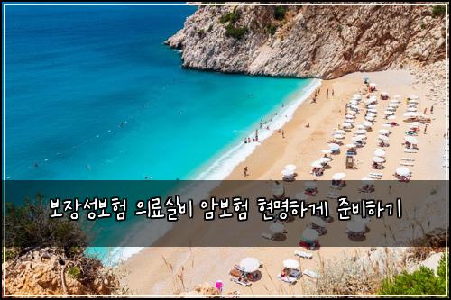 보장성보험 의료실비 암보험 현명하게 준비하기
