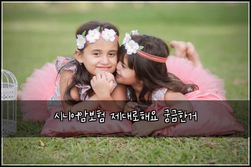 ์๋์ด์๋ณดํ ์ ๋๋กํด์ ๊ถ๊ธํ๊ฑฐ
