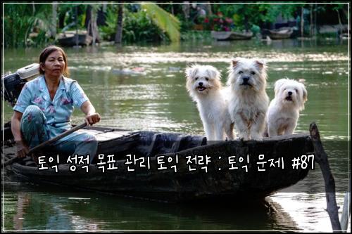 토익 성적 목표 관리 토익 전략 : 토익 문제 #87