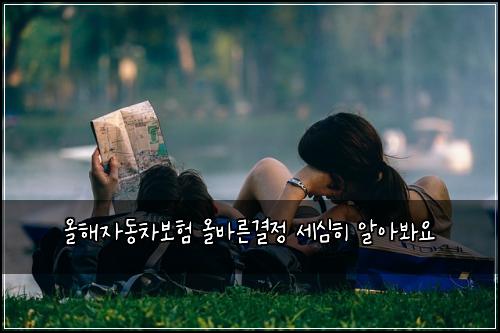 올해자동차보험 올바른결정  세심히 알아봐요