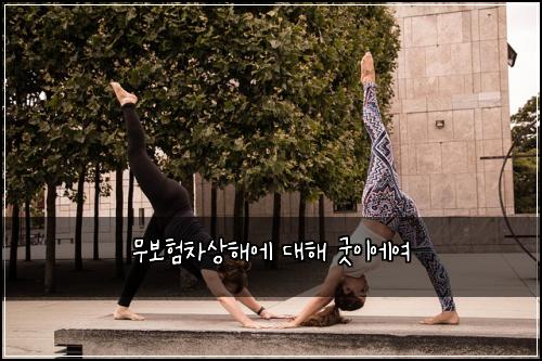 무보νμ°¨μν΄μ λν΄ κ΅Ώμ΄μμ¬