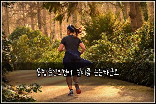 통합종신보험에 실비를 든든하군요