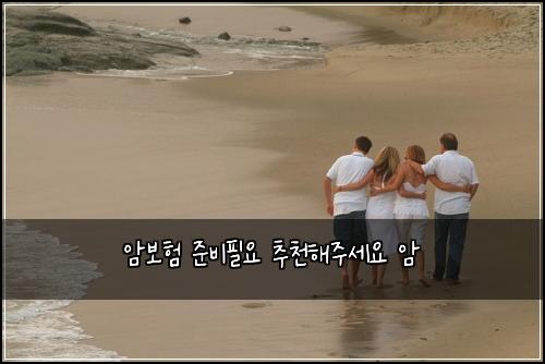 암보험 준비필요  추천해주세요 암