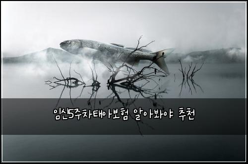 임신5주차태아보험 알아봐야  추천