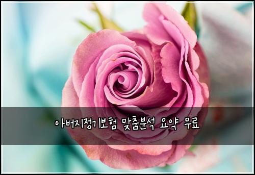 아버지정기보험 맞춤분석  요약 무료