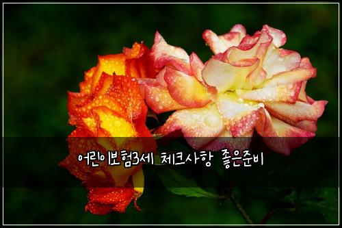어린이보험3세 체크사항 좋은준비