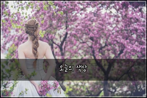 오늘의 색상
