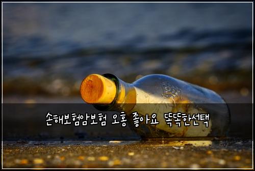 손해보험암보험 오홍 좋아요 똑똑한선택