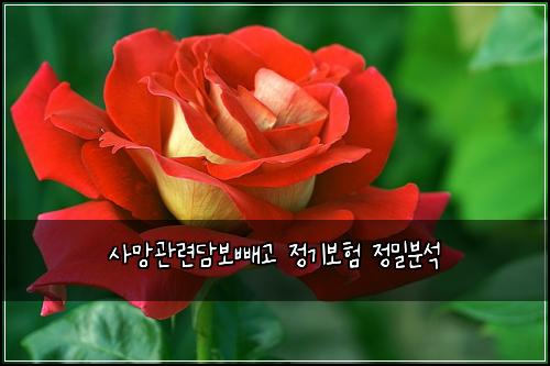 ์ฌ๋ง๊ด๋ จ๋ด๋ณด๋นผ๊ณ ์ ๊ธฐ๋ณดํ ์ ๋ฐ๋ถ์