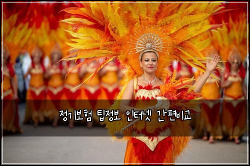 μ 기보ν νμ 보 μΈν°λ· κ°νΈλΉκ΅