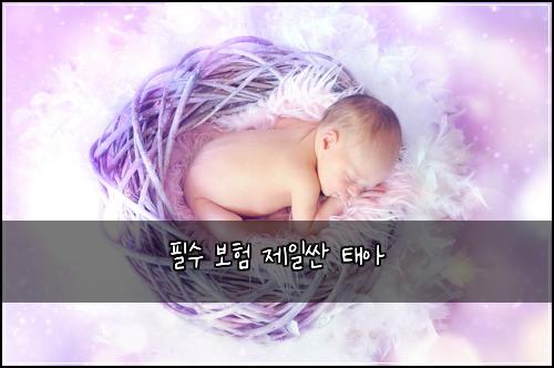 ํ์ ๋ณดํ ์ ์ผ์ผ ํ์