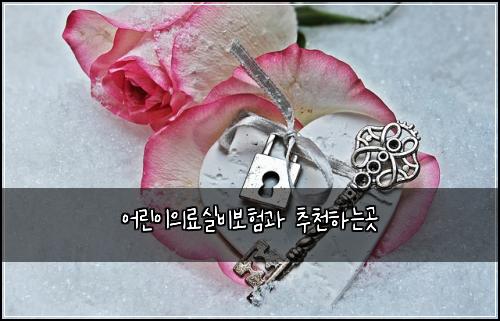 ์ด๋ฆฐ์ด์๋ฃ์ค๋น๋ณดํ๊ณผ ์ถ์ฒํ๋๊ณณ
