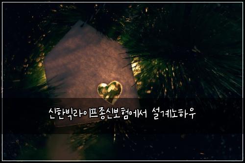 ์ ํ๋น
๋ผ์ดํ์ข
์ ๋ณดํ์์ ์ค๊ณ๋
ธํ์ฐ