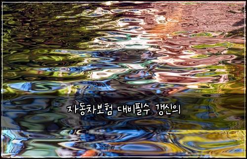 자동차보험 대비필수  갱신의