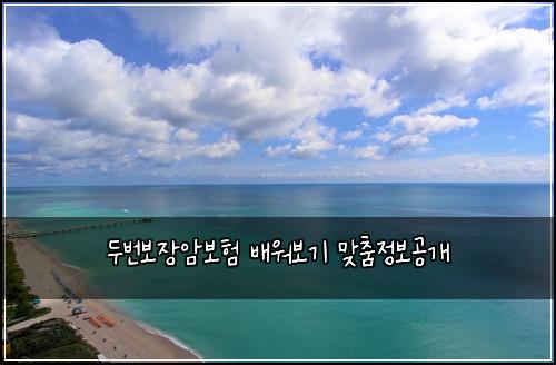 두번보장암보험 배워보기  맞춤정보공개
