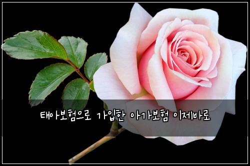 ํ์๋ณดํ์ผ๋ก ๊ฐ์
ํ ์๊ฐ๋ณดํ ์ด์ ๋ฐ๋ก