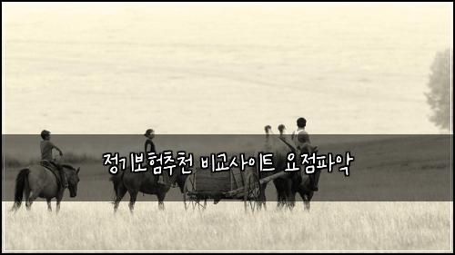 정기보험추천 비교사이트 요점파악
