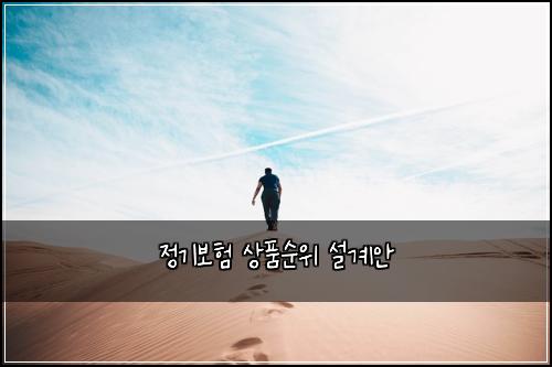 정기보험 상품순위  설계안