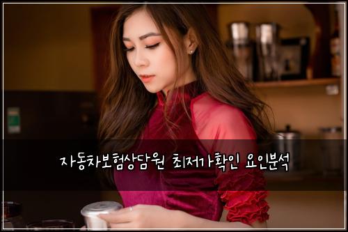 ์๋์ฐจ๋ณดํ์๋ด์ ์ต์ ๊ฐํ์ธ ์์ธ๋ถ์