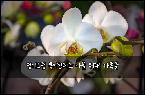 ์ ๊ธฐ๋ณดํ ํน์ด์ ์ฒดํฌ ๋๋ฅผ ์ํด ๊ฐ์กฑ์