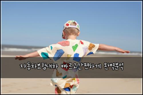 자동차보험대차 빠르고간편하게 완벽분석