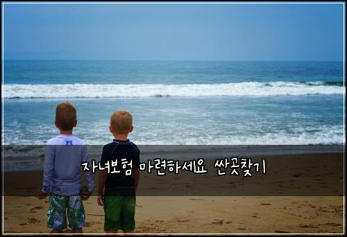 자녀보험 마련하세요  싼곳찾기