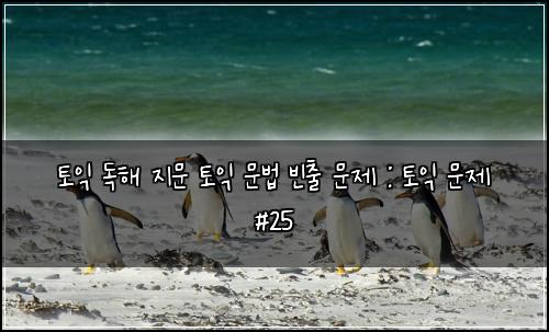 토익 독해 지문 토익 문법 빈출 문제 : 토익 문제 #25