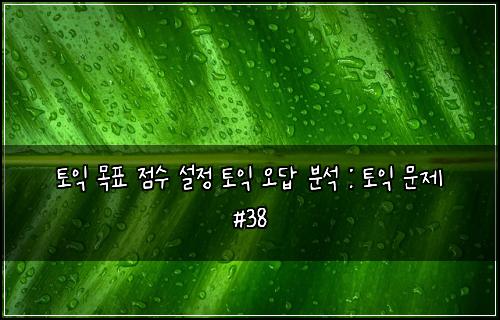 토익 목표 점수 설정 토익 오답 분석 : 토익 문제 #38